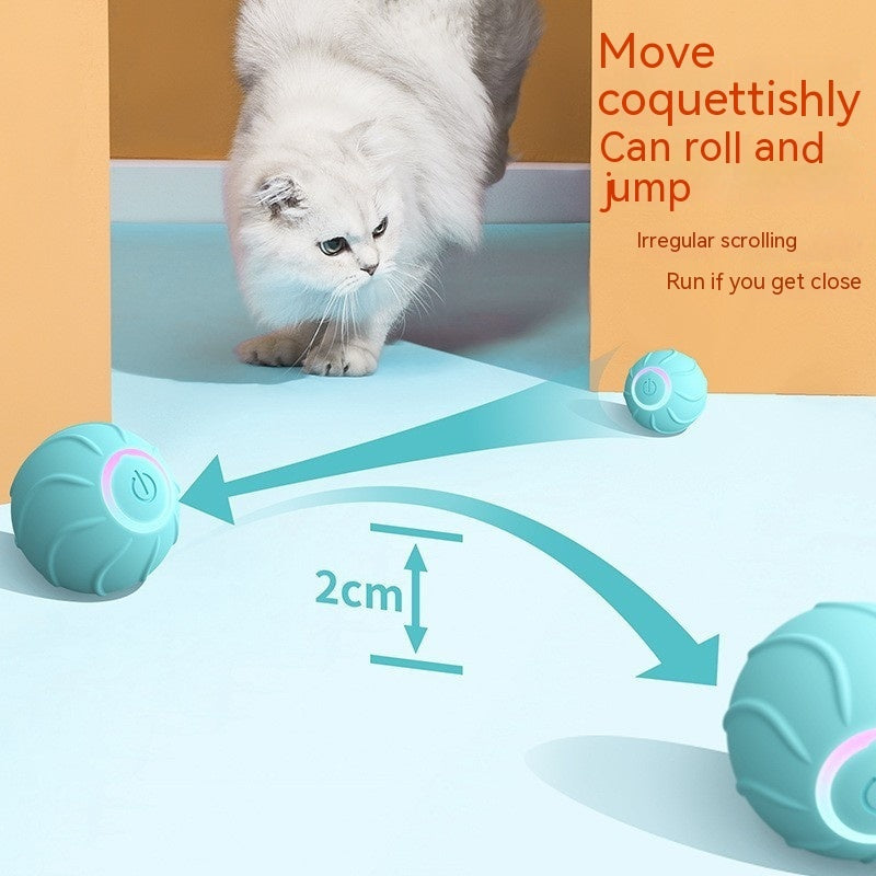 Interactive Rolling Pet Jumping Ball