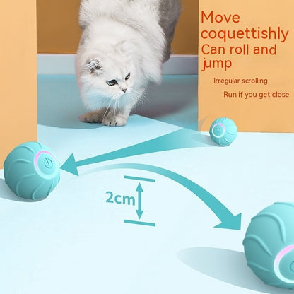 Interactive Rolling Pet Jumping Ball