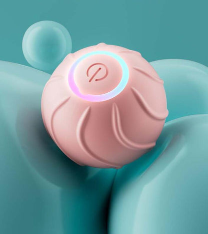 Interactive Rolling Pet Jumping Ball