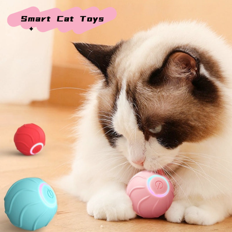 Interactive Rolling Pet Jumping Ball